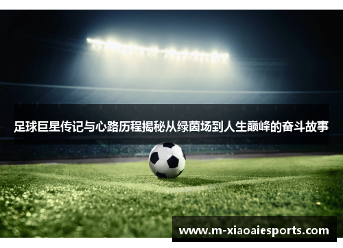 足球巨星传记与心路历程揭秘从绿茵场到人生巅峰的奋斗故事 足球巨星传记与心路历程揭秘从绿茵场到人生巅峰的奋斗故事