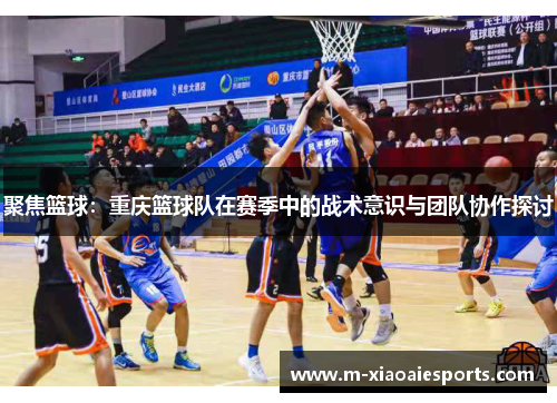 聚焦篮球：重庆篮球队在赛季中的战术意识与团队协作探讨
