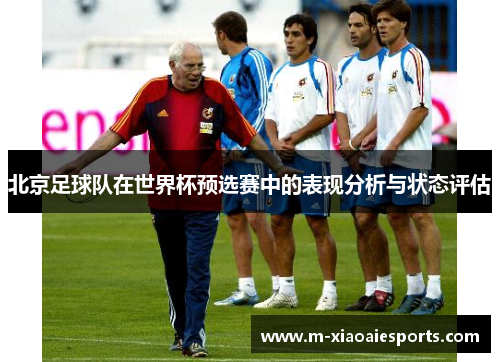北京足球队在世界杯预选赛中的表现分析与状态评估