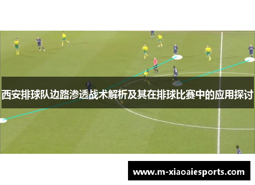 西安排球队边路渗透战术解析及其在排球比赛中的应用探讨