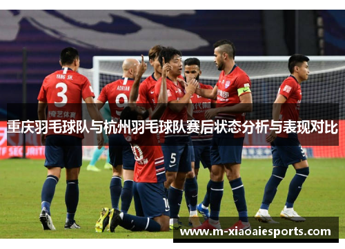 重庆羽毛球队与杭州羽毛球队赛后状态分析与表现对比