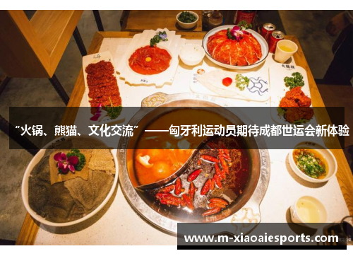 “火锅、熊猫、文化交流”——匈牙利运动员期待成都世运会新体验 “火锅、熊猫、文化交流”——匈牙利运动员期待成都世运会新体验