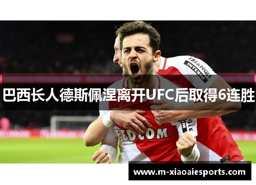 巴西长人德斯佩涅离开UFC后取得6连胜 巴西长人德斯佩涅离开UFC后取得6连胜