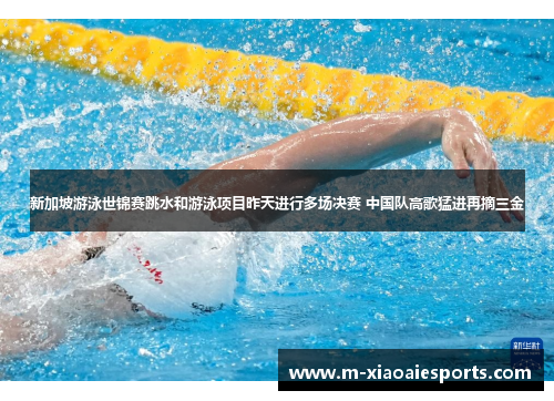 新加坡游泳世锦赛跳水和游泳项目昨天进行多场决赛 中国队高歌猛进再摘三金 新加坡游泳世锦赛跳水和游泳项目昨天进行多场决赛 中国队高歌猛进再摘三金