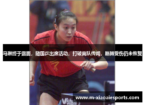马琳终于露面,随国乒出席活动,打破离队传闻,胳膊受伤仍未恢复 马琳终于露面,随国乒出席活动,打破离队传闻,胳膊受伤仍未恢复