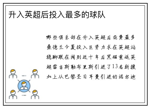 升入英超后投入最多的球队 升入英超后投入最多的球队